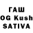 ГАШИШ Cannabis sumashedshii