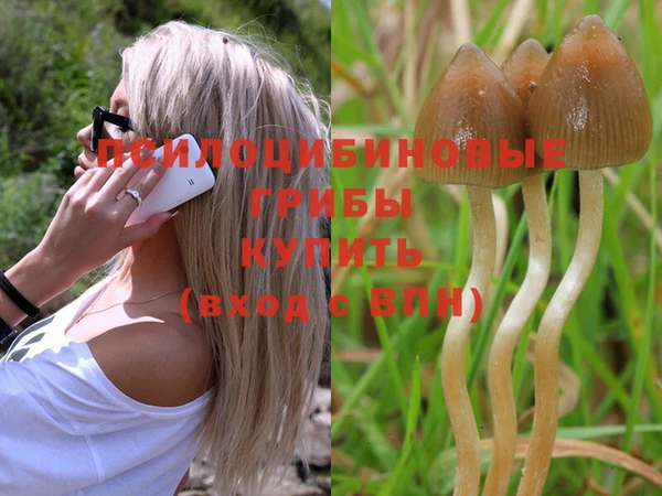 прущие крисы Бронницы