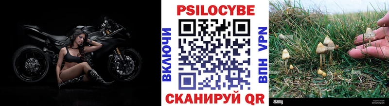 Купить закладки Барыш Псилоцибиновые грибы Magic Shrooms